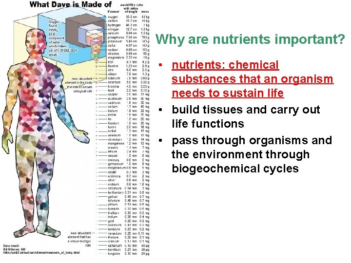 Why are nutrients important? • nutrients: chemical substances that an organism needs to sustain