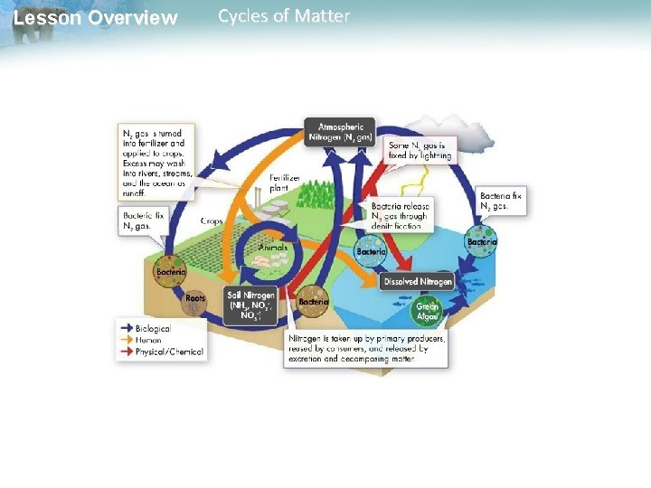 Lesson Overview Cycles of Matter 