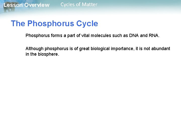 Lesson Overview Cycles of Matter The Phosphorus Cycle Phosphorus forms a part of vital