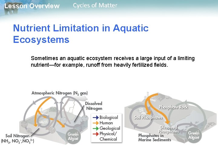 Lesson Overview Cycles of Matter Nutrient Limitation in Aquatic Ecosystems Sometimes an aquatic ecosystem