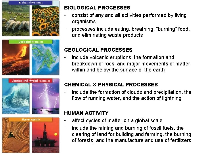 BIOLOGICAL PROCESSES • consist of any and all activities performed by living organisms •