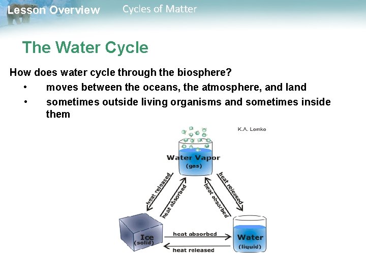 Lesson Overview Cycles of Matter The Water Cycle How does water cycle through the