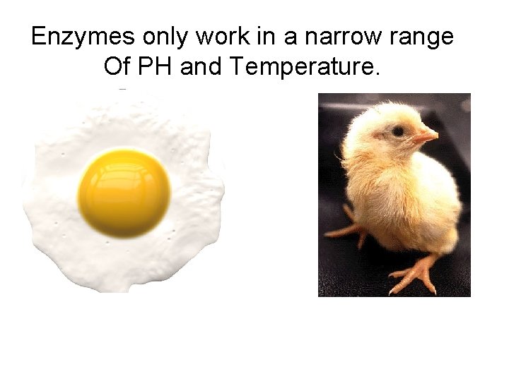 Enzymes only work in a narrow range Of PH and Temperature. Enzymes only work in a narrow range Of PH and Temperature.