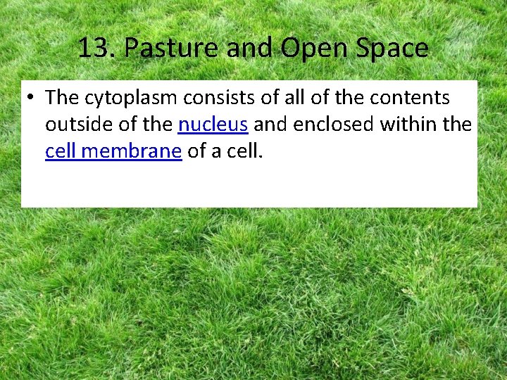 13. Pasture and Open Space • The cytoplasm consists of all of the contents