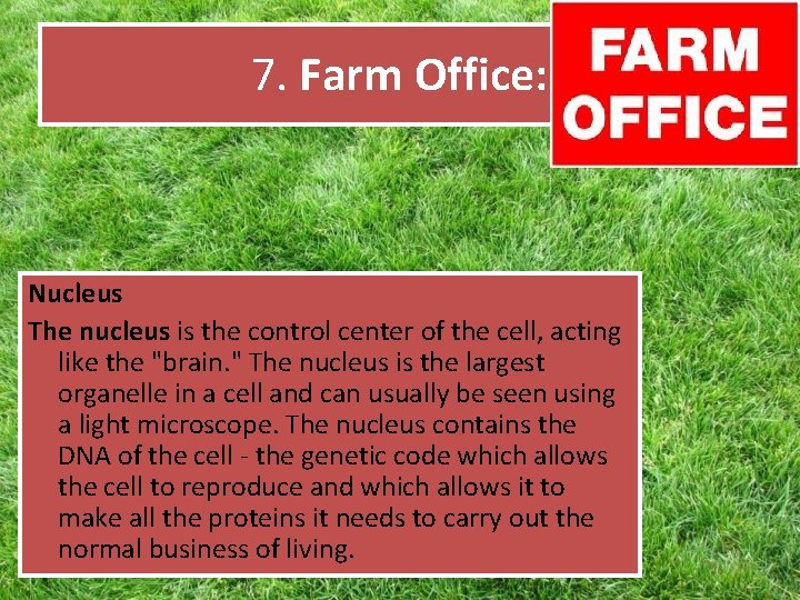 7. Farm Office: Nucleus The nucleus is the control center of the cell, acting