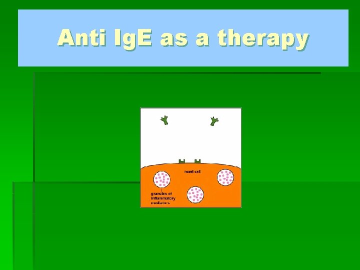 Anti Ig. E as a therapy 