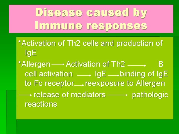 Disease caused by Immune responses *Activation of Th 2 cells and production of Ig.