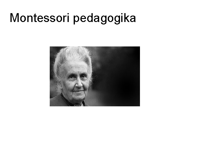 Montessori pedagogika 