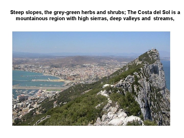 Steep slopes, the grey-green herbs and shrubs; The Costa del Sol is a mountainous