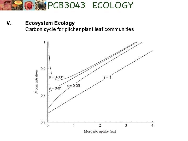 V. Ecosystem Ecology Carbon cycle for pitcher plant leaf communities 