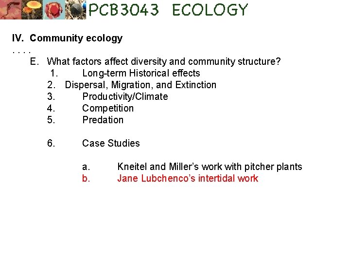 IV. Community ecology. . E. What factors affect diversity and community structure? 1. Long-term