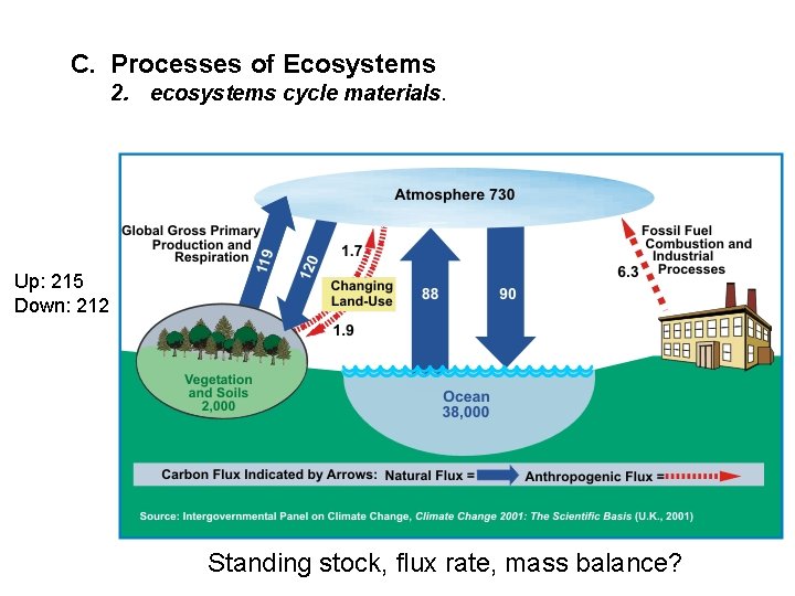 C. Processes of Ecosystems 2. ecosystems cycle materials. Up: 215 Down: 212 Standing stock,