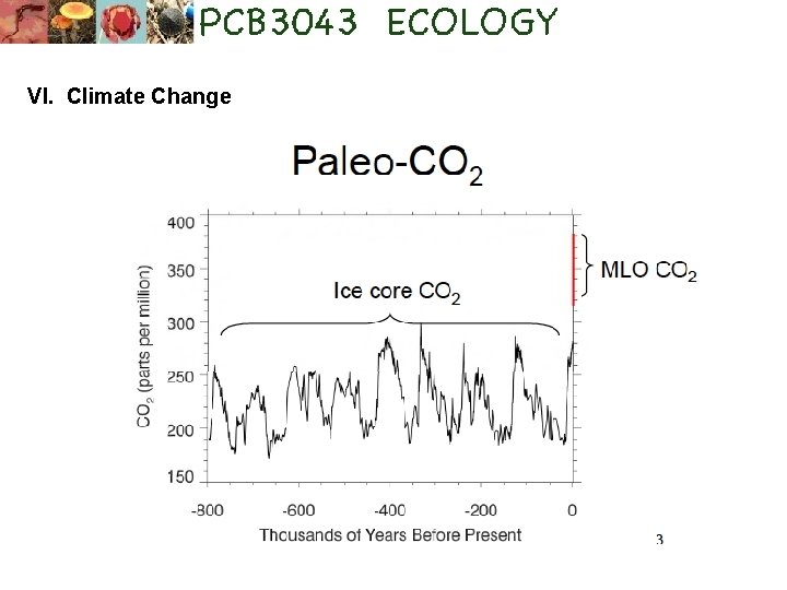 VI. Climate Change 