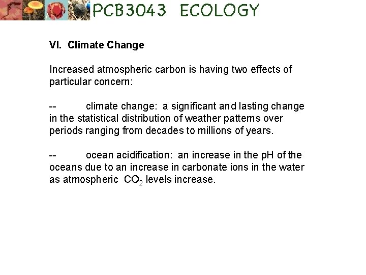 VI. Climate Change Increased atmospheric carbon is having two effects of particular concern: -climate