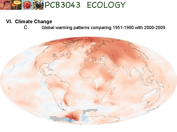 VI. Climate Change C. Global warming patterns comparing 1951 -1980 with 2000 -2009 
