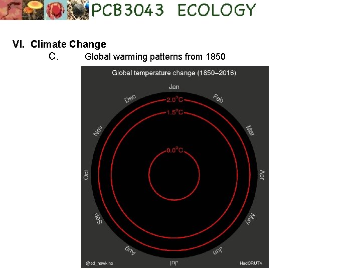 VI. Climate Change C. Global warming patterns from 1850 