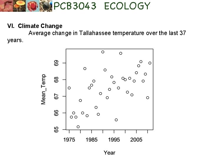 VI. Climate Change Average change in Tallahassee temperature over the last 37 years. 