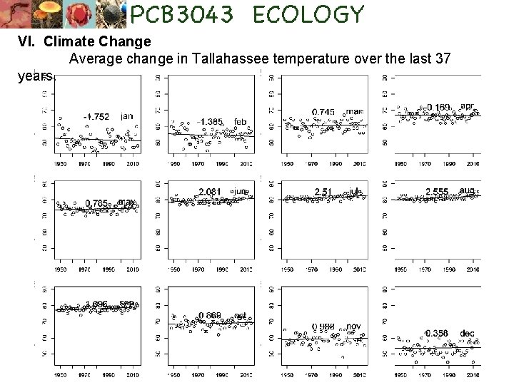 VI. Climate Change Average change in Tallahassee temperature over the last 37 years. 