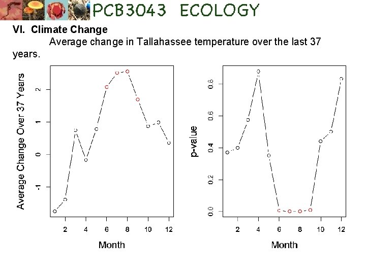 VI. Climate Change Average change in Tallahassee temperature over the last 37 years. 