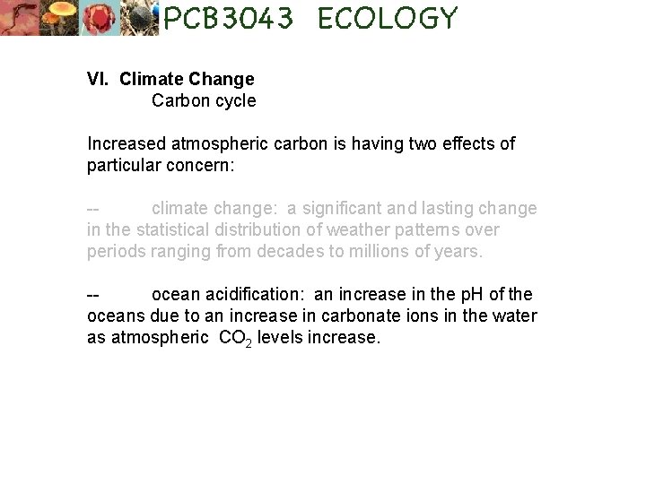 VI. Climate Change Carbon cycle Increased atmospheric carbon is having two effects of particular