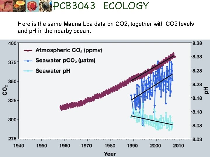 Here is the same Mauna Loa data on CO 2, together with CO 2
