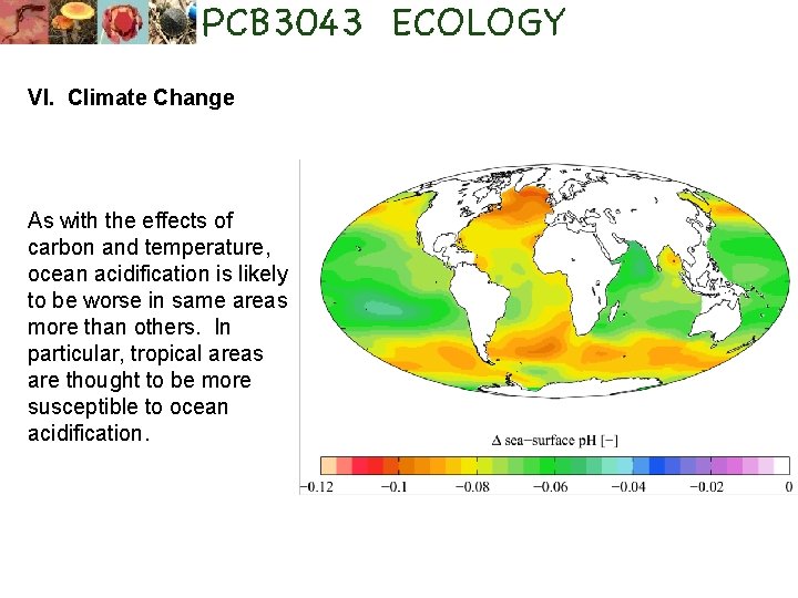 VI. Climate Change As with the effects of carbon and temperature, ocean acidification is