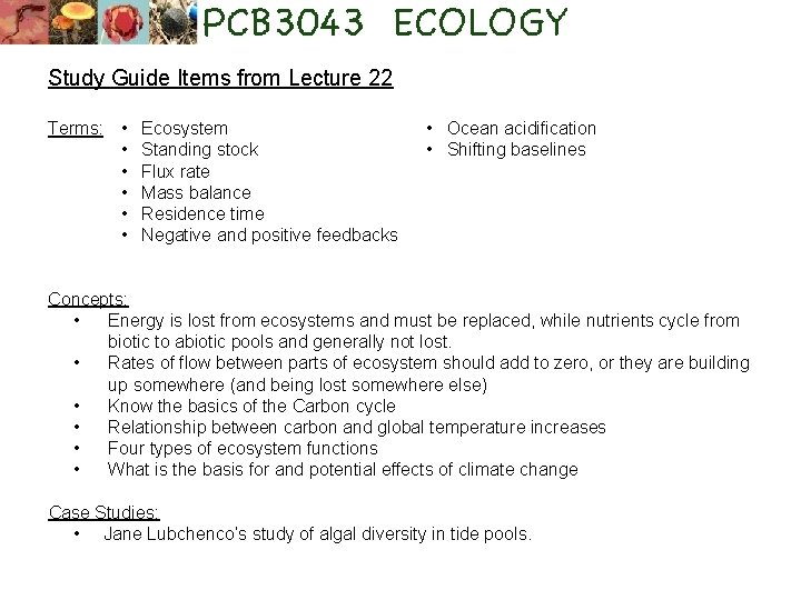 Study Guide Items from Lecture 22 Terms: • • • Ecosystem Standing stock Flux