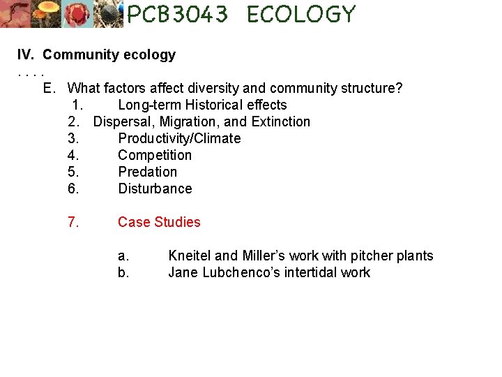 IV. Community ecology. . E. What factors affect diversity and community structure? 1. Long-term