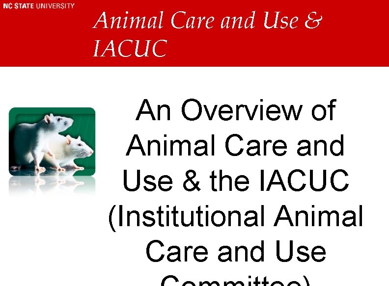 Animal Care and Use & IACUC An Overview of Animal Care and Use & Animal Care and Use & IACUC An Overview of Animal Care and Use &