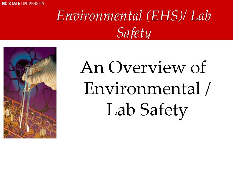 Environmental (EHS)/ Lab Safety An Overview of Environmental / Lab Safety Environmental (EHS)/ Lab Safety An Overview of Environmental / Lab Safety