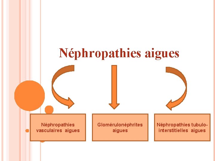 Néphropathies aigues Néphropathies vasculaires aigues Glomérulonéphrites aigues Néphropathies tubulointerstitielles aigues 