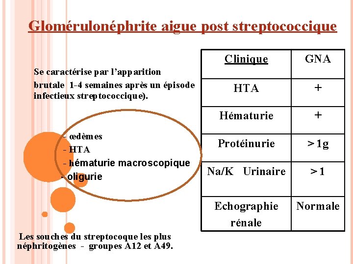 Glomérulonéphrite aigue post streptococcique Se caractérise par l’apparition brutale 1 -4 semaines après un