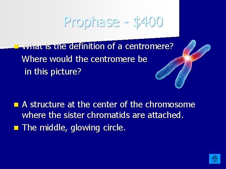 Prophase - $400 n What is the definition of a centromere? Where would the