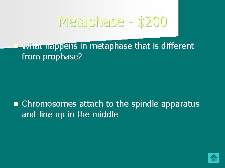 Metaphase - $200 n What happens in metaphase that is different from prophase? n