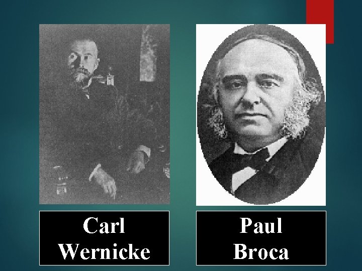 Carl Wernicke Paul Broca 
