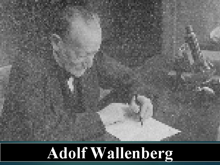 Adolf Wallenberg 