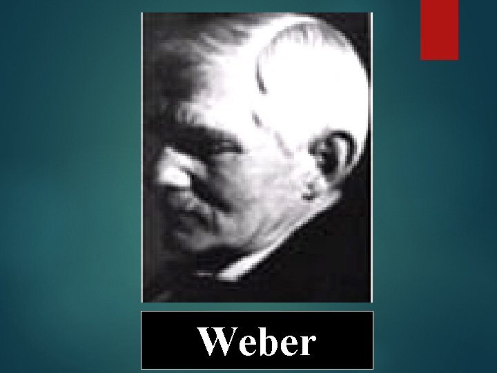 Weber 
