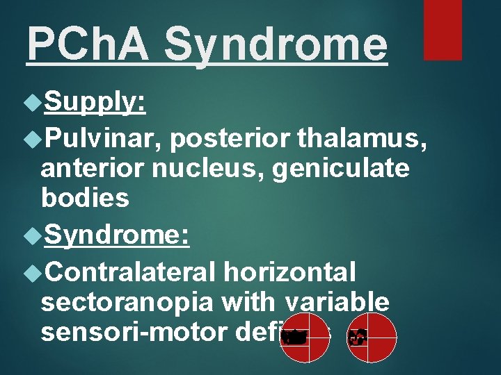 PCh. A Syndrome Supply: Pulvinar, posterior thalamus, anterior nucleus, geniculate bodies Syndrome: Contralateral horizontal