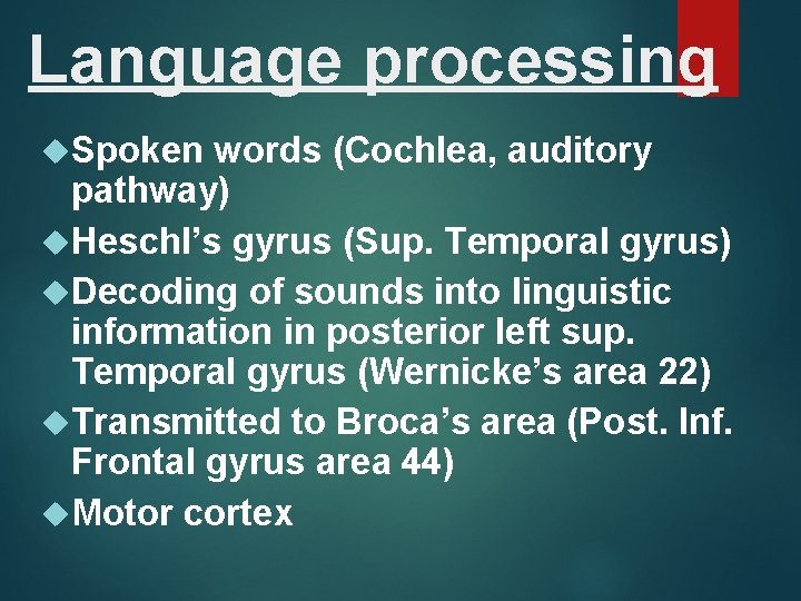Language processing Spoken words (Cochlea, auditory pathway) Heschl’s gyrus (Sup. Temporal gyrus) Decoding of