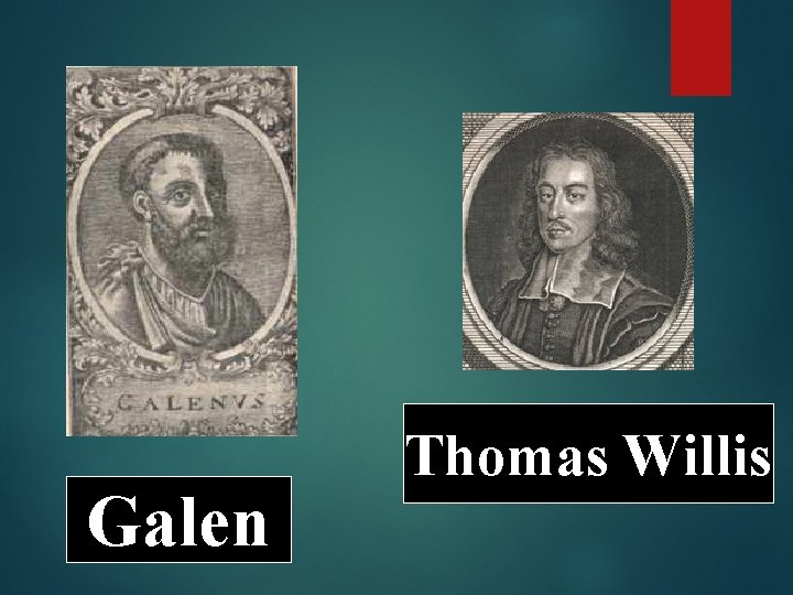 Galen Thomas Willis 
