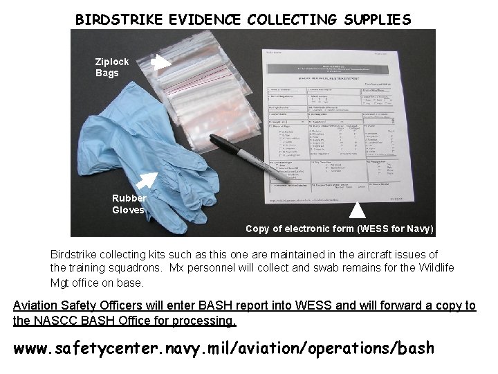 BIRDSTRIKE EVIDENCE COLLECTING SUPPLIES Ziplock Bags Rubber Gloves Copy of electronic form (WESS for