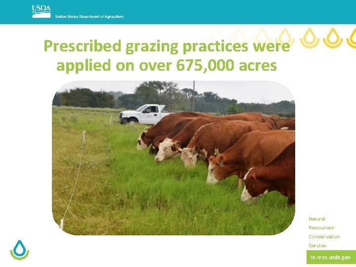 Prescribed grazing practices were applied on over 675, 000 acres Natural Resources Conservation Service