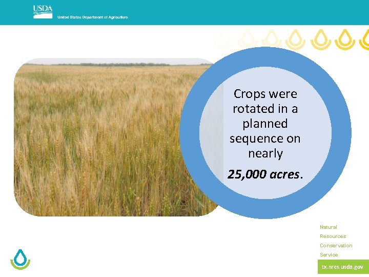 Crops were rotated in a planned sequence on nearly 25, 000 acres. Natural Resources