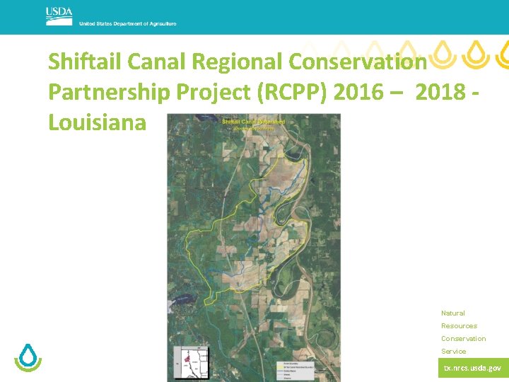 Shiftail Canal Regional Conservation Partnership Project (RCPP) 2016 – 2018 Louisiana Natural Resources Conservation