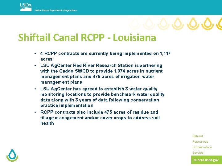 Shiftail Canal RCPP - Louisiana • 4 RCPP contracts are currently being implemented on