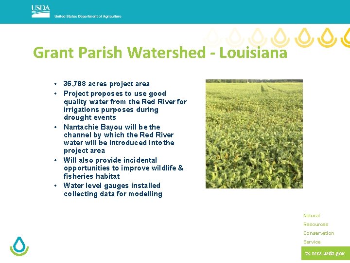 Grant Parish Watershed - Louisiana • 36, 788 acres project area • Project proposes