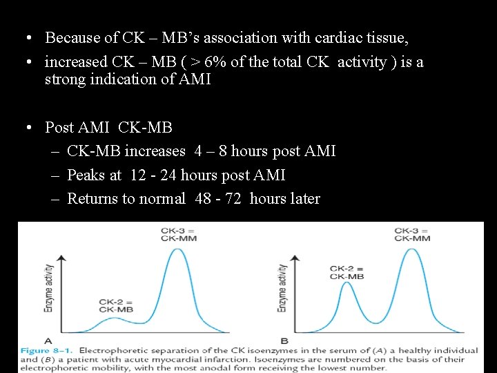  • Because of CK – MB’s association with cardiac tissue, • increased CK