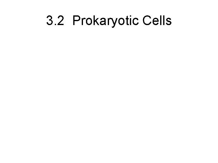 3. 2 Prokaryotic Cells 