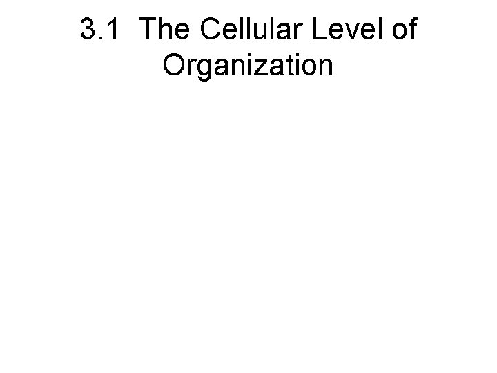 3. 1 The Cellular Level of Organization 