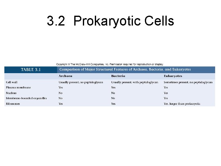 3. 2 Prokaryotic Cells 